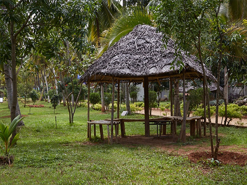 The Cassava Retreat Swimming Pool